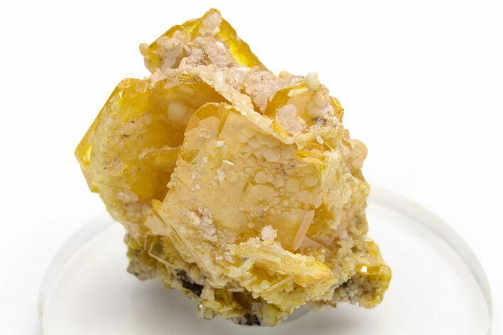 Lustrous, Yellow Wulfenite and Mimetite - La Morita Mine, Mexico #237089